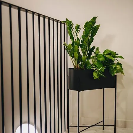 Hotel Dock 1 Boutique *