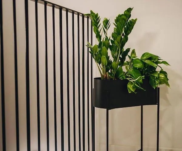 Hotel Dock 1 Boutique *